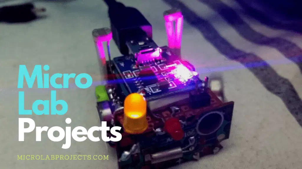 Micro Lab Projects