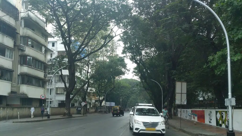 Maharashtra State Shop