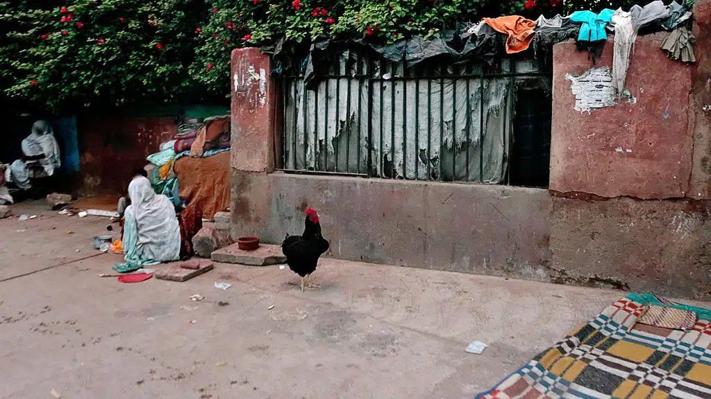 Famous Burqa House