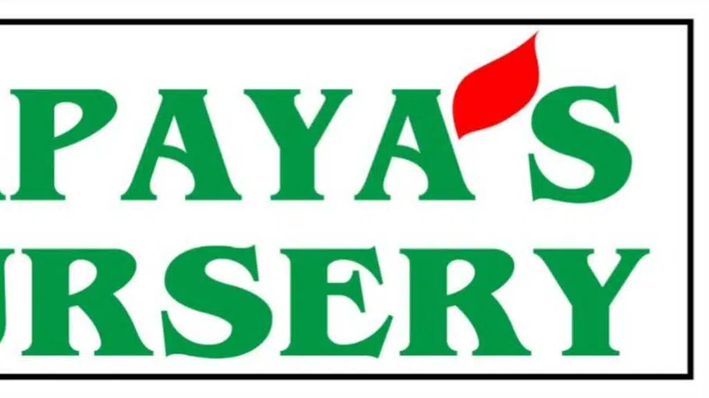 Papaya's Nursery