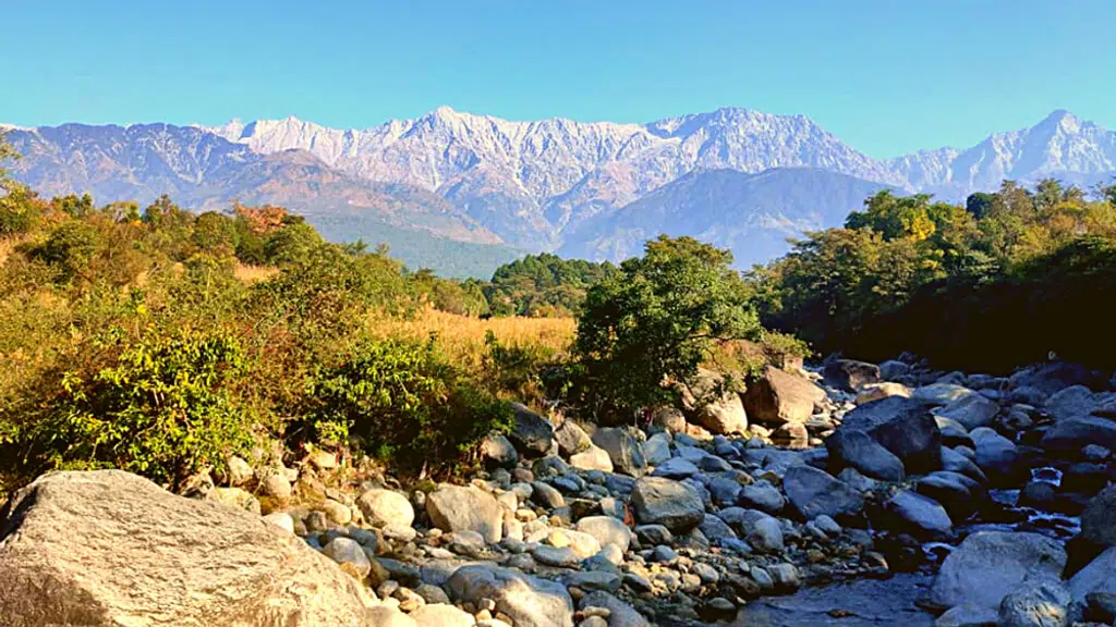 Mountain View Yog
