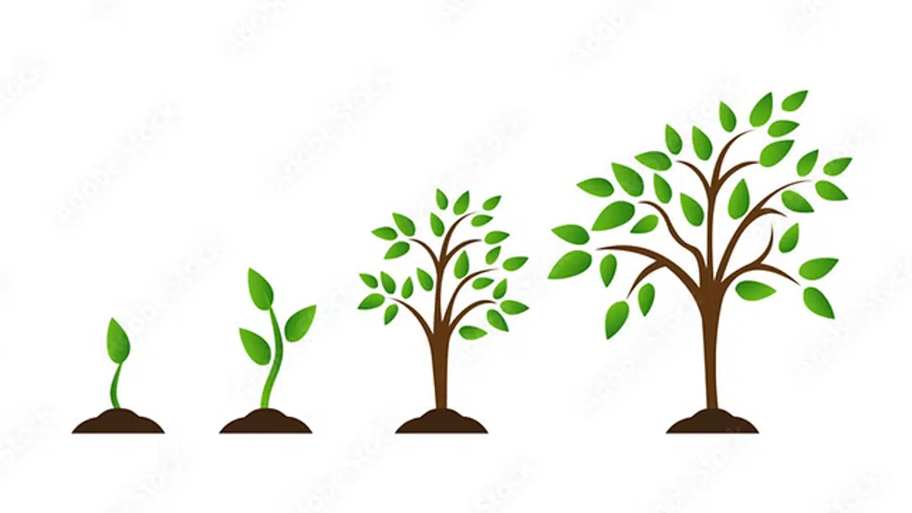 Indigrow Capital