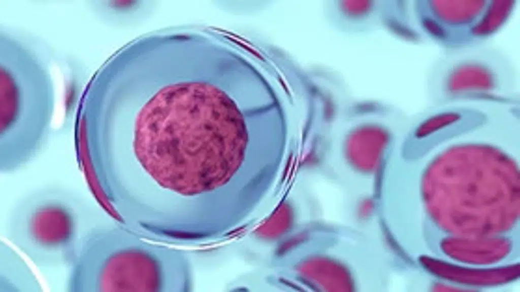 Icon Clinical Research India Pvt. Ltd.