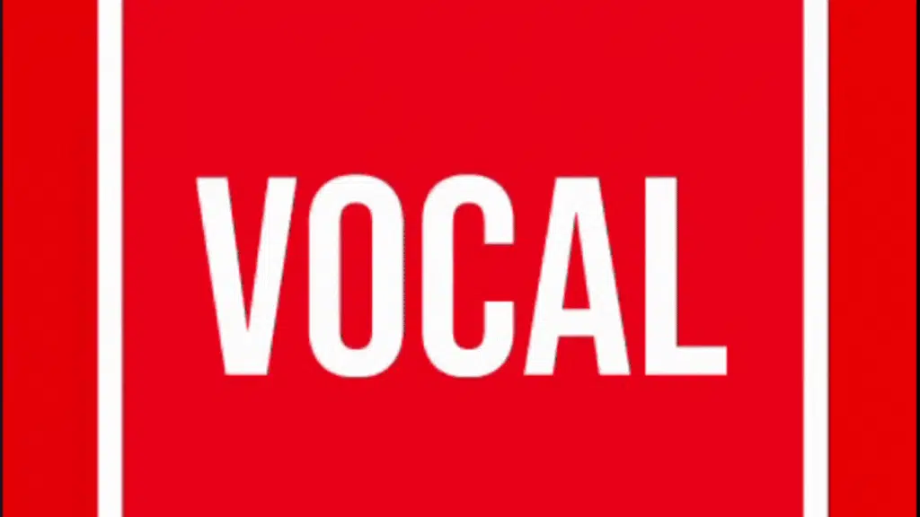 Vocal Marketing Solutions