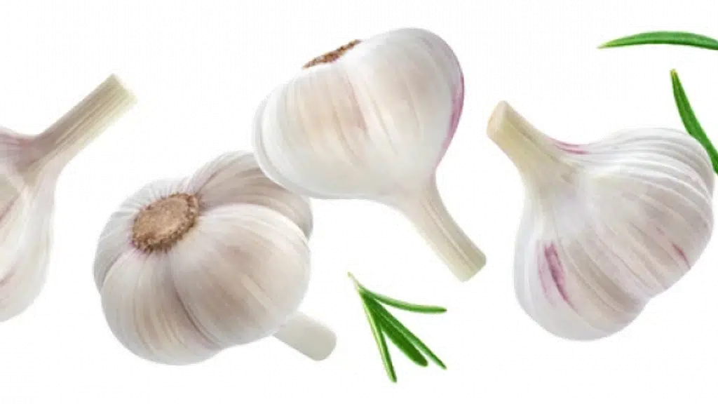 Vijay Garlic