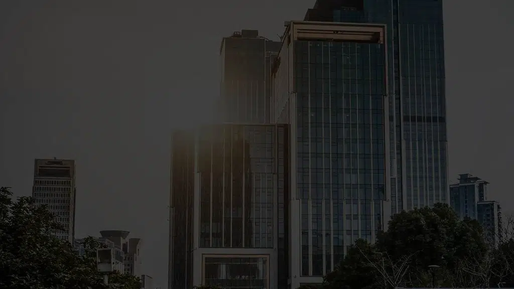 Daamri Consultancy