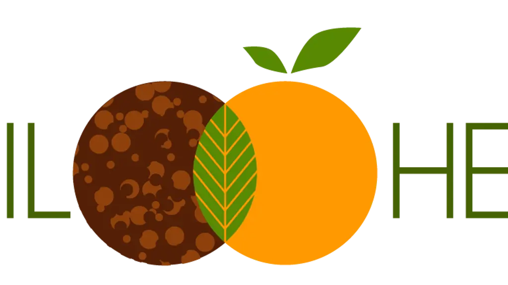Soil and Health Solutions