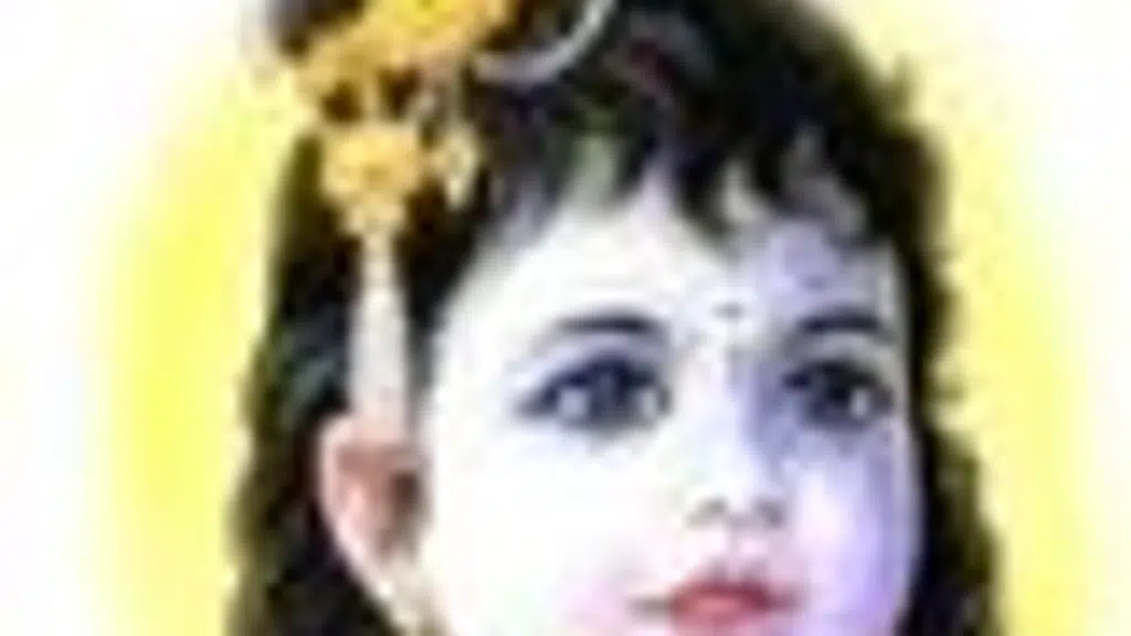 Lord Krishna Engg Works