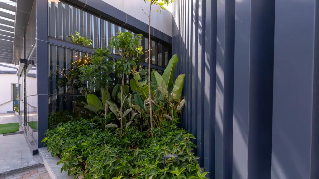 SOCIO architecture company
