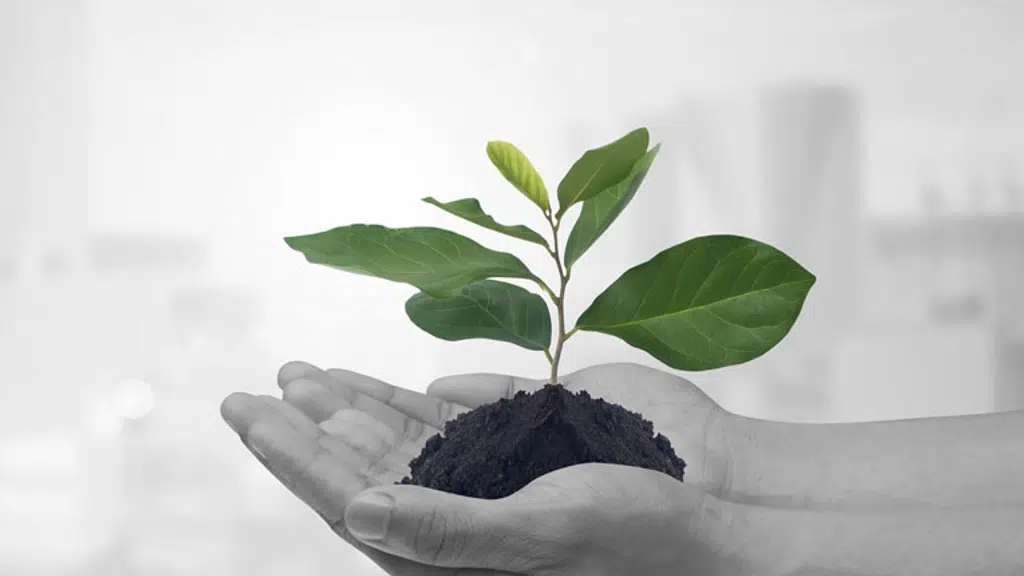 Dalal Sons Pvt. Ltd.