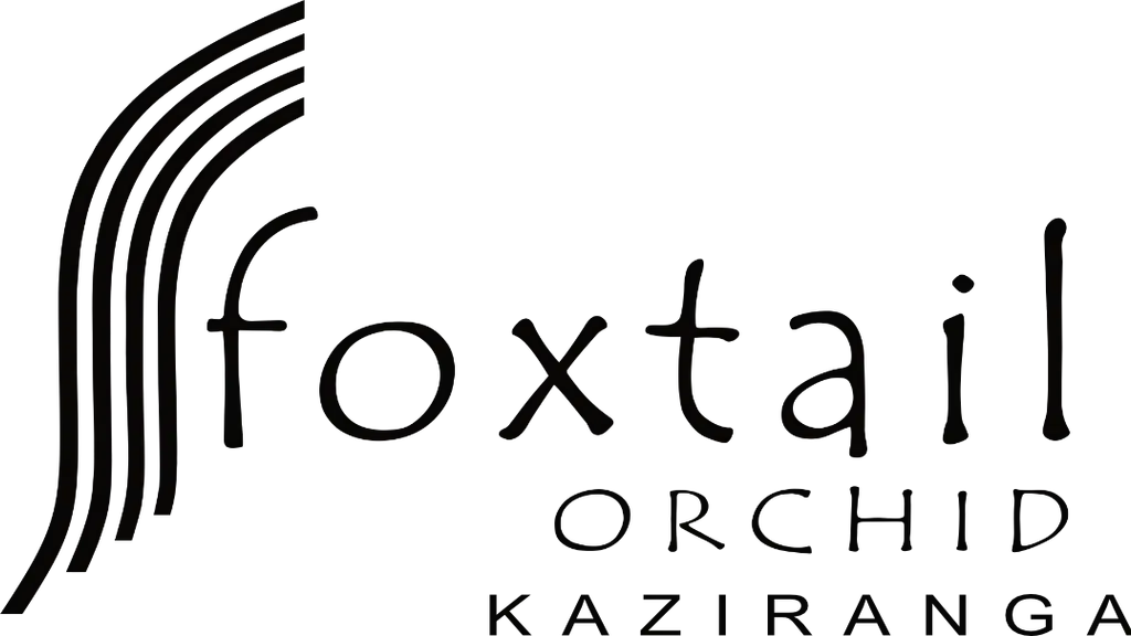 Foxtail Orchid,Kaziranga