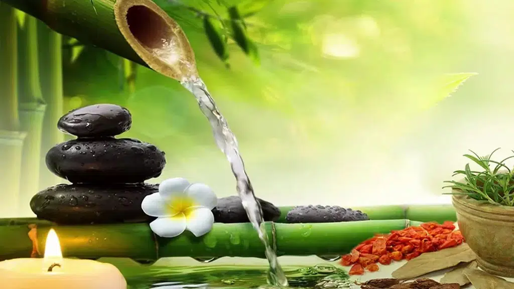 Sparsh Ayurveda And Panchakarma Centre