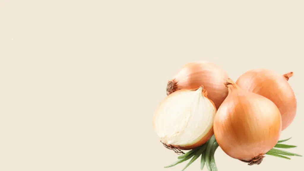 Aboorva foods