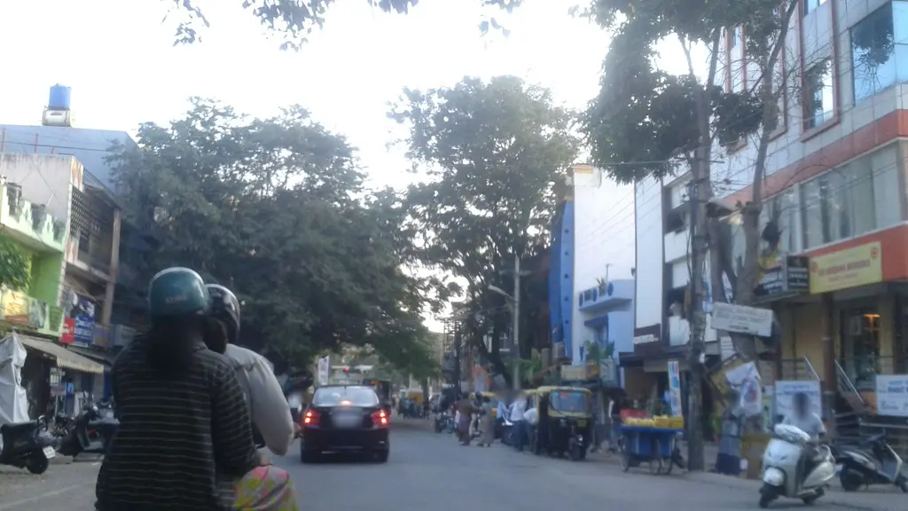 Genesis The Fitness Forum