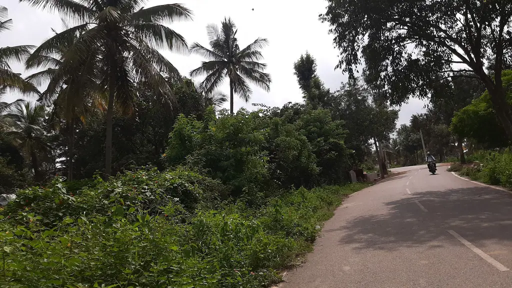 Veera Etthina Gaana