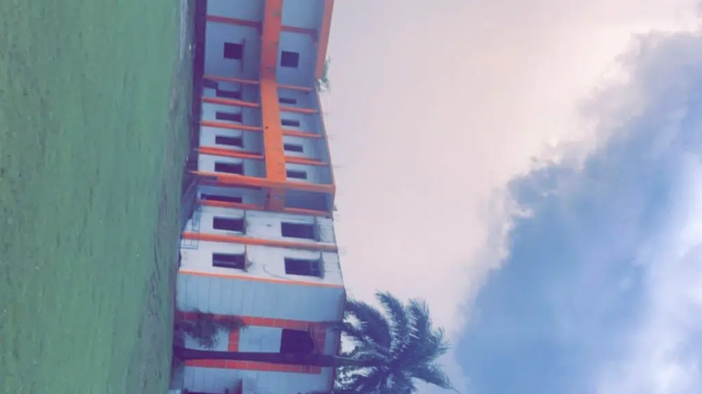 Oasis international school