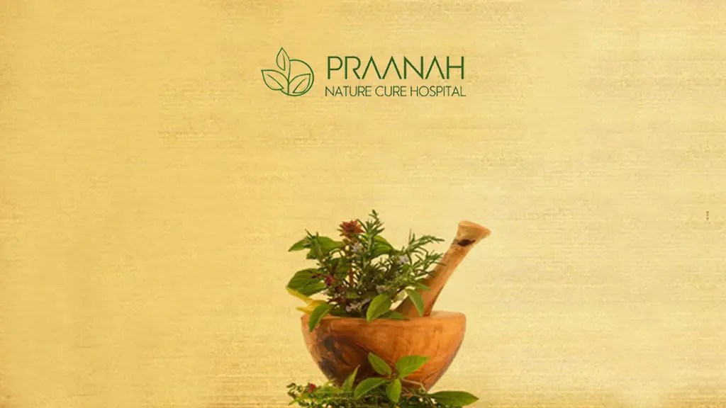 Praanah Nature Cure Hospital
