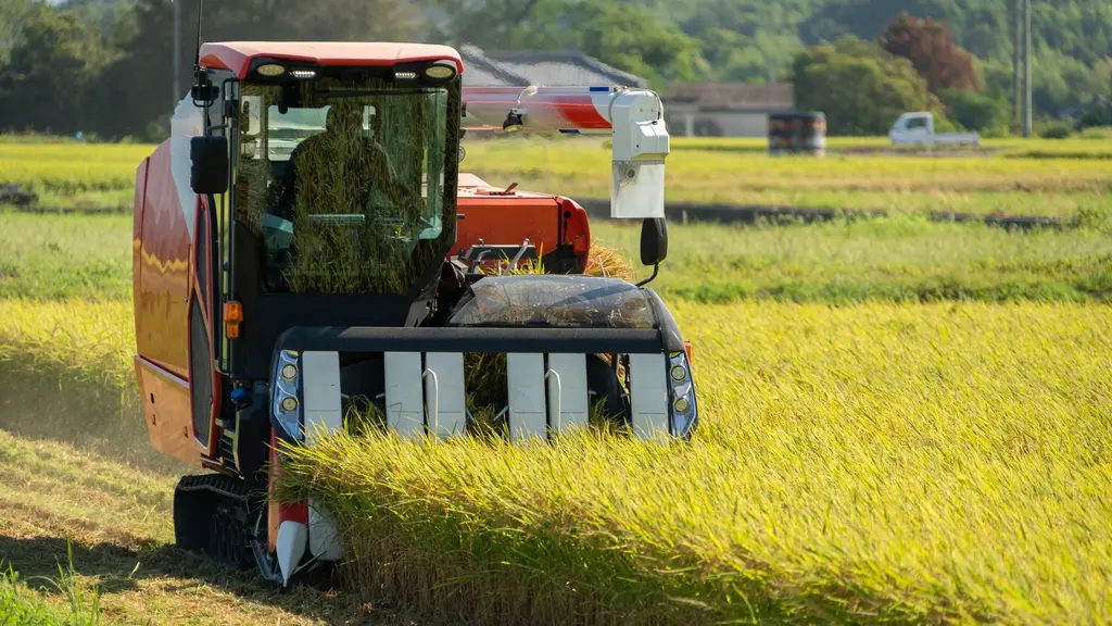 NS RICE