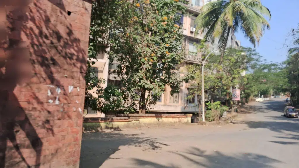Springdale India