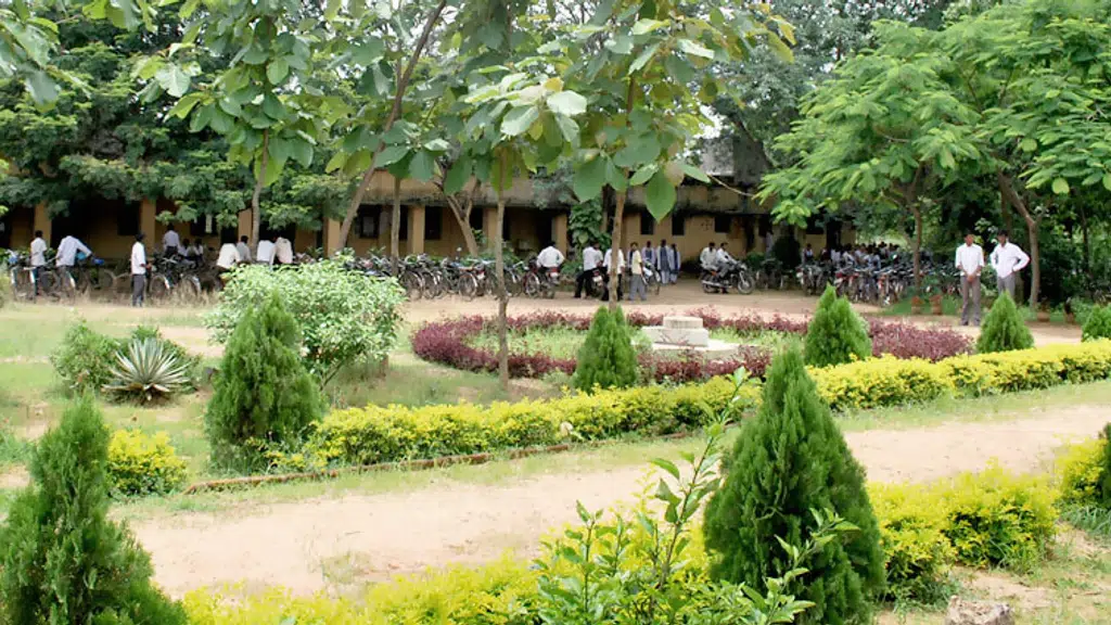 Dadhibaman College Bhatli