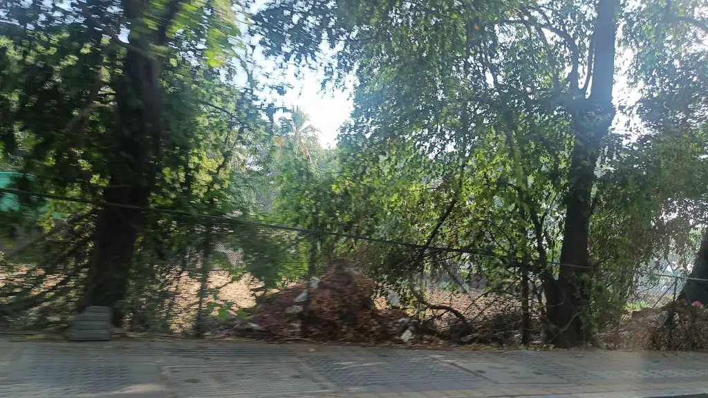 Pmc Aundh Ward Office