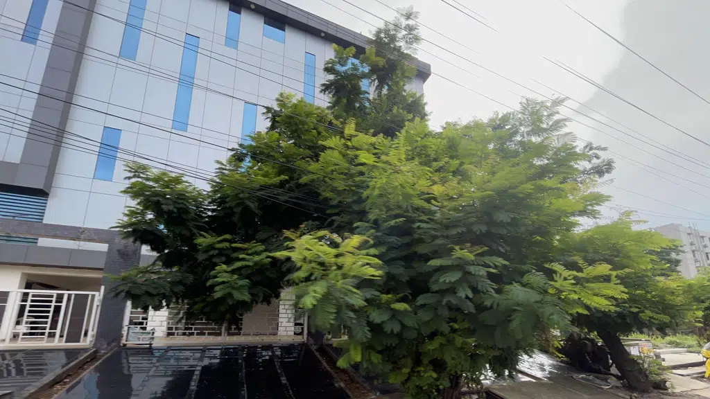 Lotus Construction Corporation