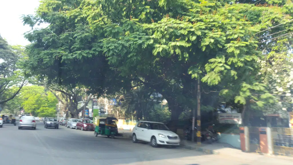 The Bharathi Cooperative Credit Society