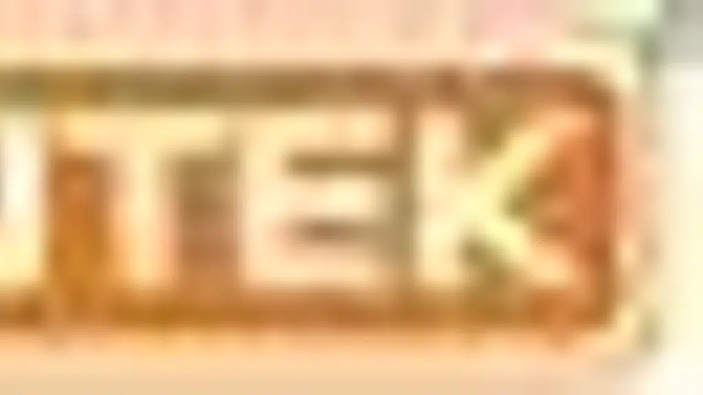 CLEANTEK