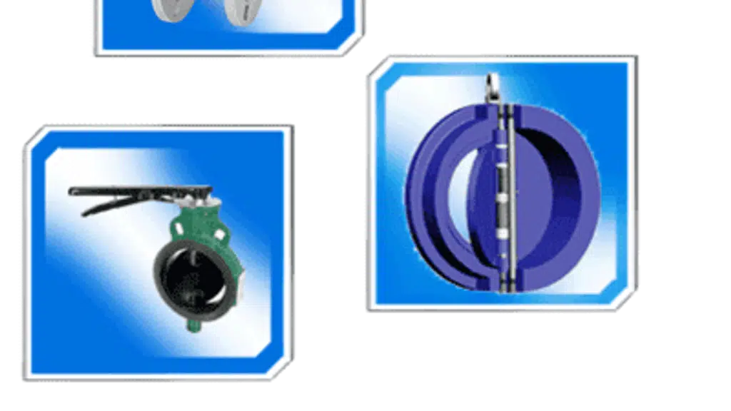 C.P.Valves Company