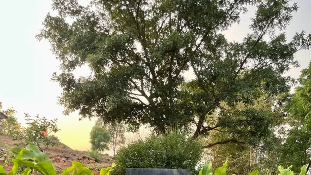 Dakkhan Green Resort