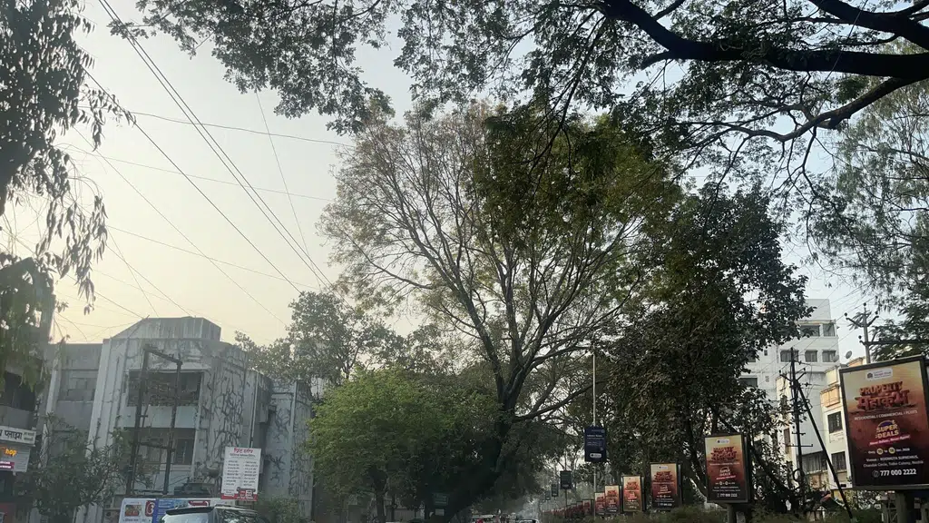 Palmtown Nashik