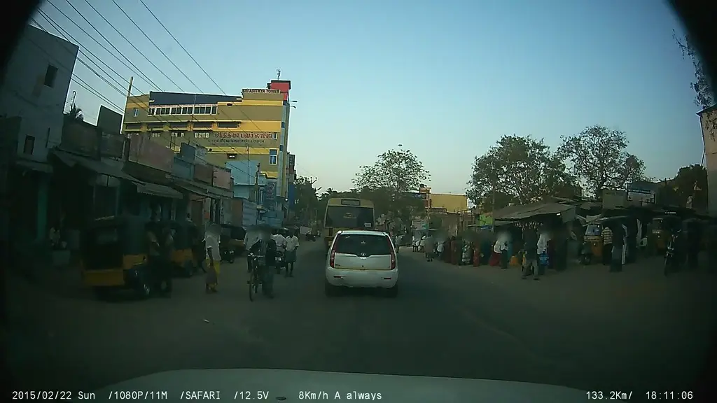 Alli Hotel Veg and Non Veg