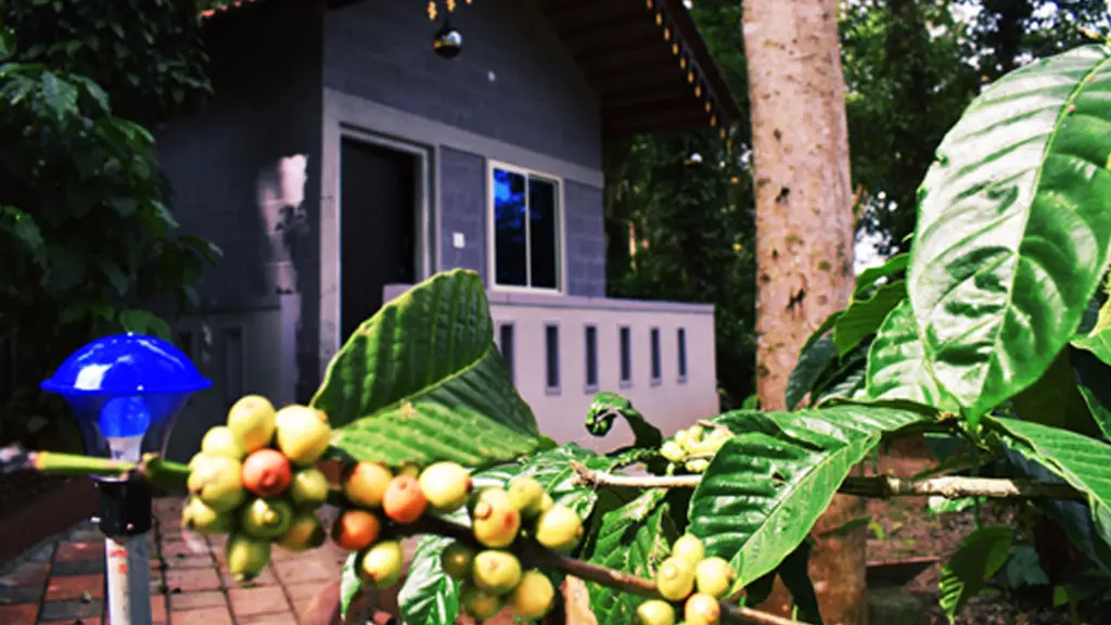 Finca Backwater Homestay
