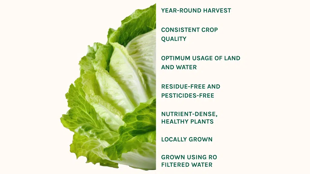 Frais Farms - Growing Health and Happiness