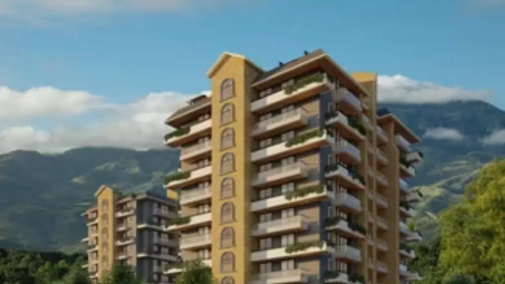 Aneja Realtors