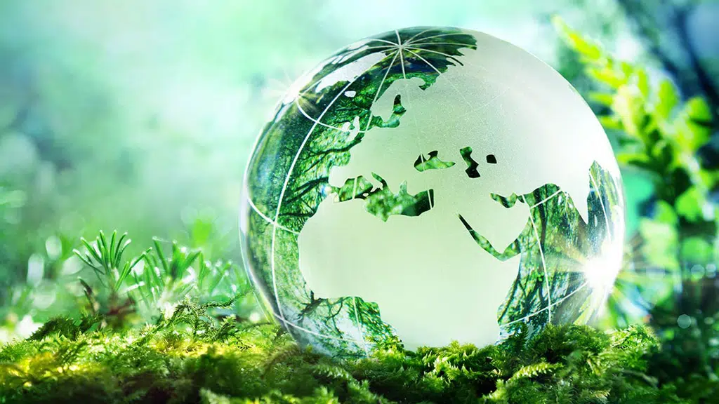 Raj Envirocare