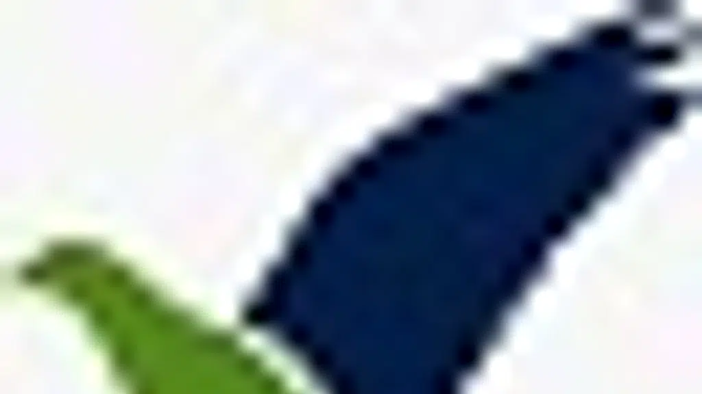 Shah Printers