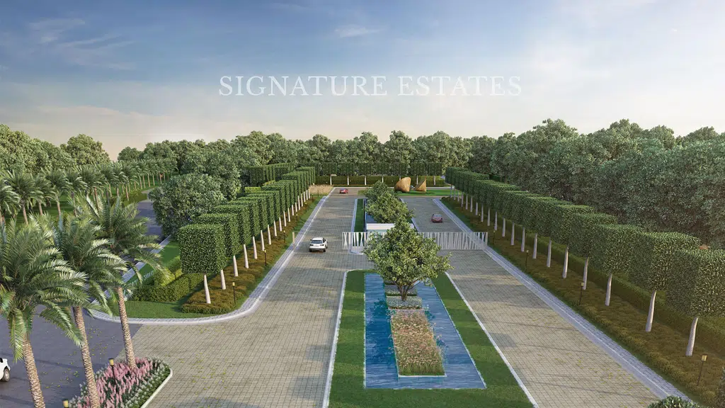 Signature Horizon