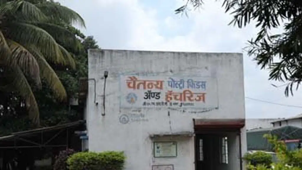 Chaitanya Poultry Feeds & Hatcheries