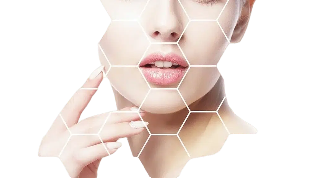 Aesthetica Veda