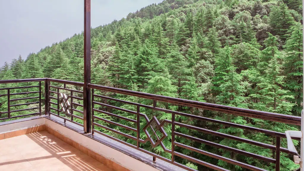 White Pearl Hotel- Best Hotel in Chail, HImachal Pradesh