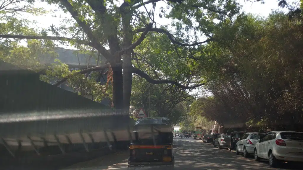 Punjab National Bank