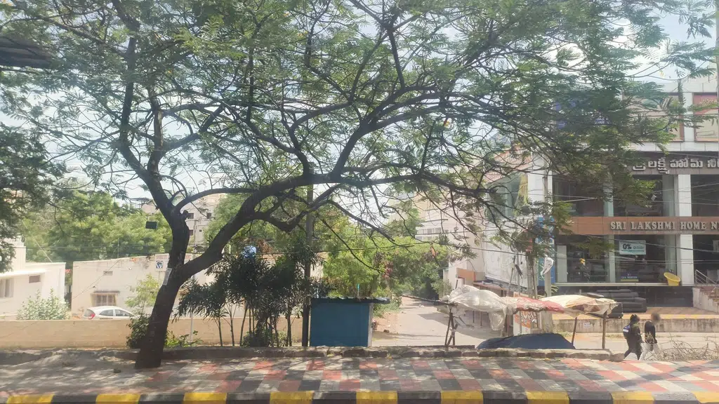 IFEN University