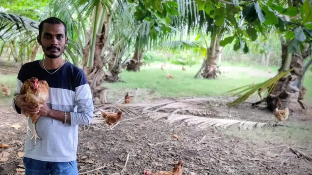 Adhiban Farms