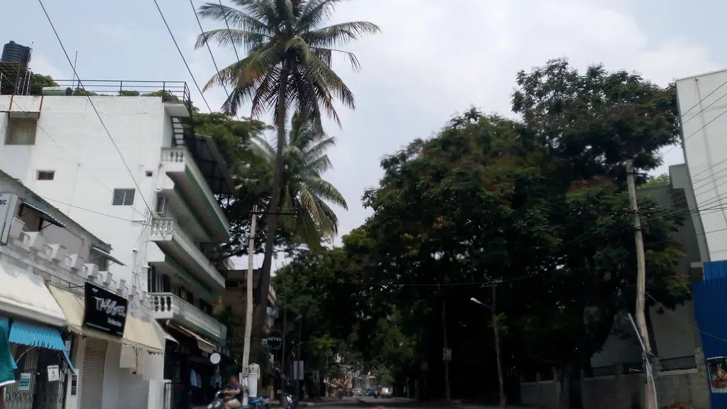 Blue Tokai Coffee Roasters | Indiranagar, Domlur
