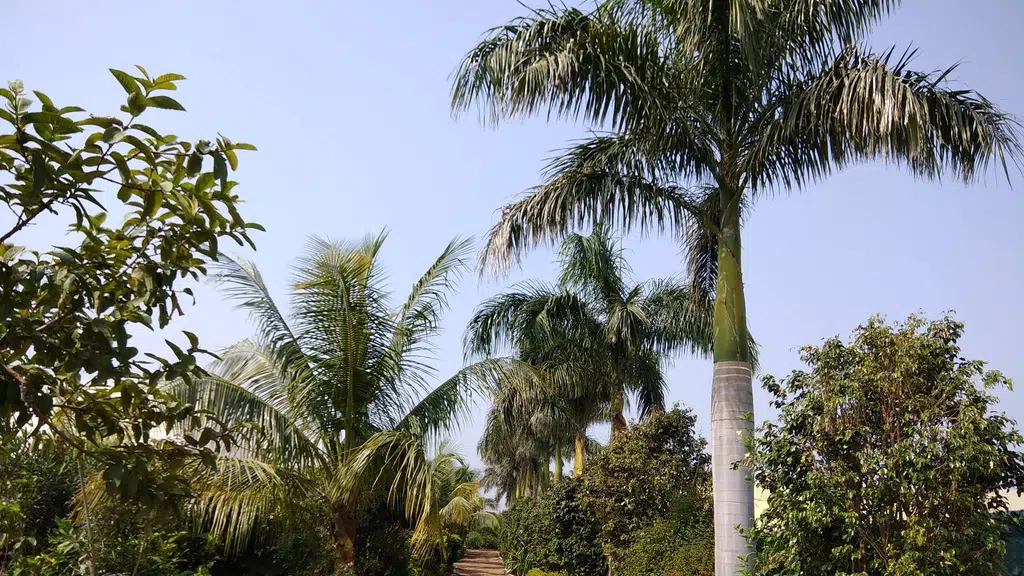 Tirupati Green House Nursery