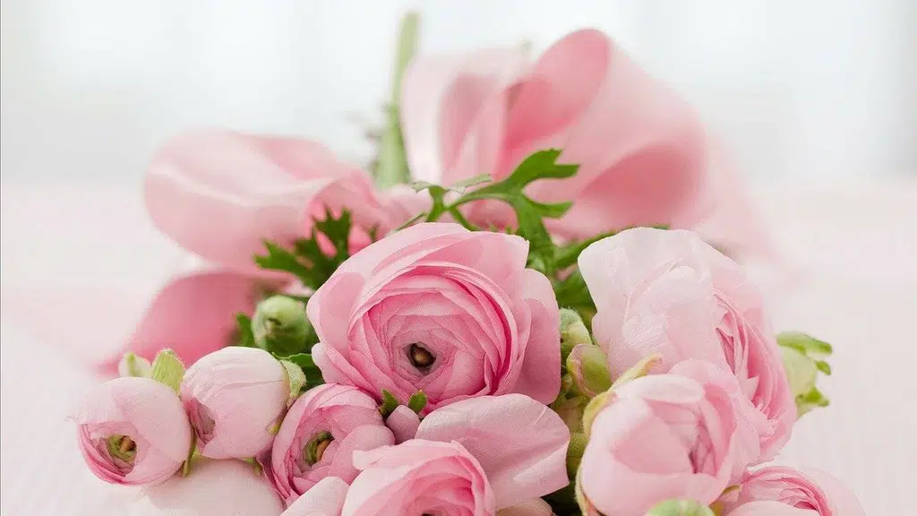 Creative Flora The Florist