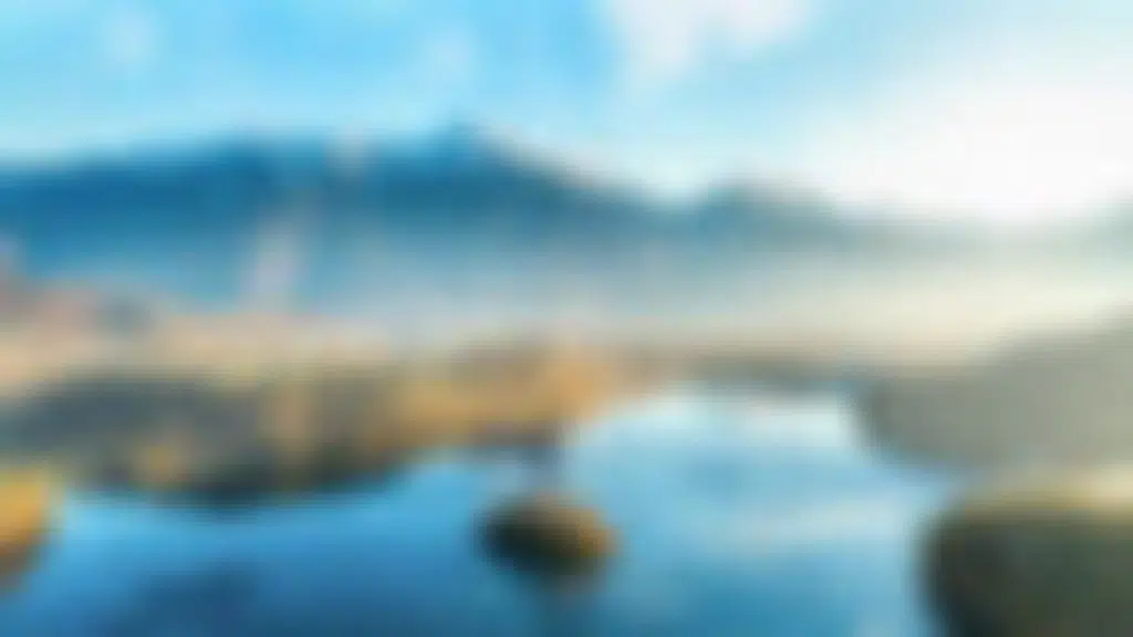 The Travel Point