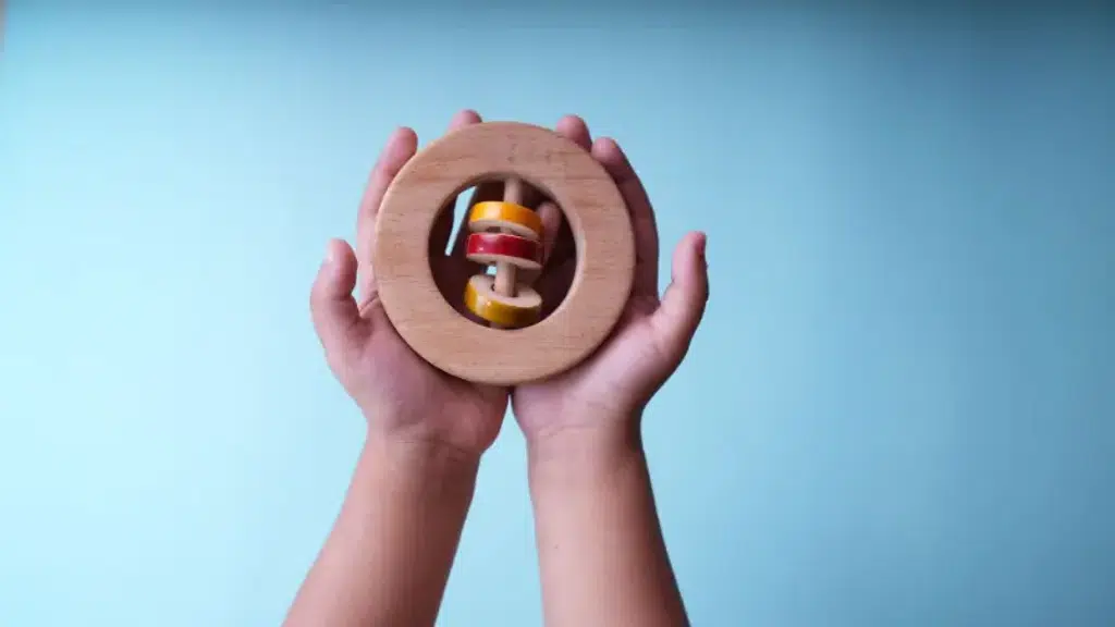 LittleHatch Toys