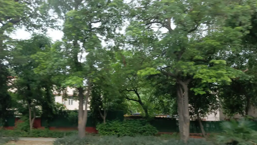 PSOI Club